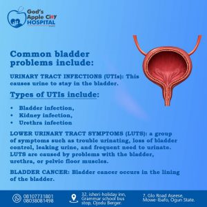 Bladder Health