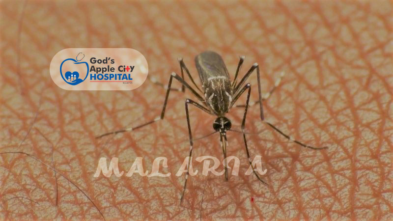 Malaria